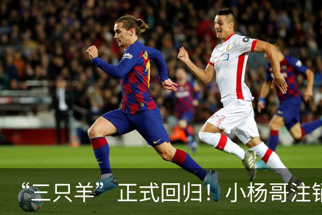 “三只羊”正式回归！小杨哥注销过亿粉丝d音账号，再注册新号发声明。