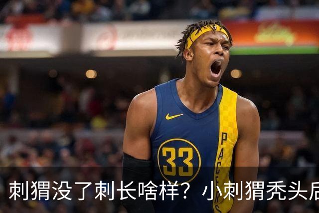 刺猬没了刺长啥样？小刺猬秃头后意外走红，网友：好像大土豆