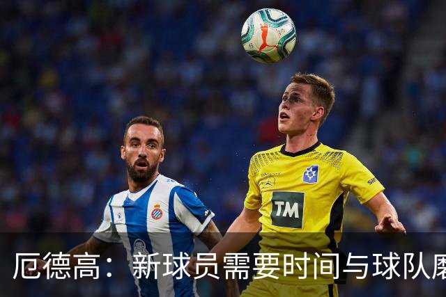 厄德高：新球员需要时间与球队磨合，我们每周都在变得更好