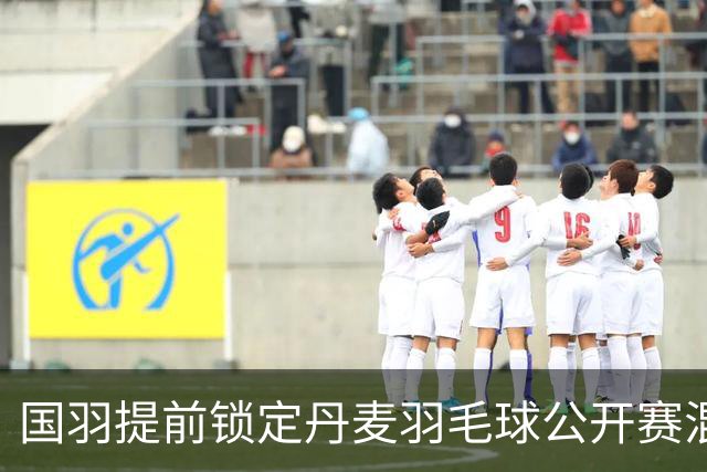 国羽提前锁定丹麦羽毛球公开赛混双冠军
