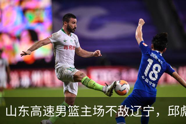 山东高速男篮主场不敌辽宁，邱彪赛后评价法耶：无可挑剔