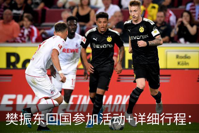 樊振东回国参加活动+详细行程：10月16日到上海，10月19日将在广州参加球迷见面会