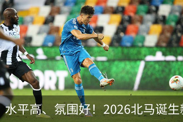 水平高、氛围好！2026北马诞生新纪录，赛事组织获选手认可