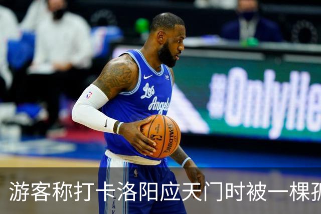 游客称打卡洛阳应天门时被一棵孤树遮挡，网友称“树比门早”，当地：树是百年古树，修建应天门时专门保留