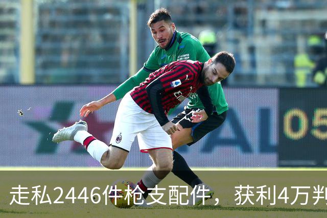 走私2446件枪支配件，获利4万判了10年，国家射击教练田红案披露