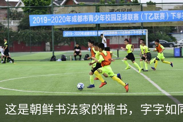这是朝鲜书法家的楷书，字字如同打印机，令丑书者汗颜不已！