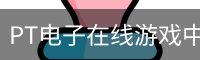 PT电子